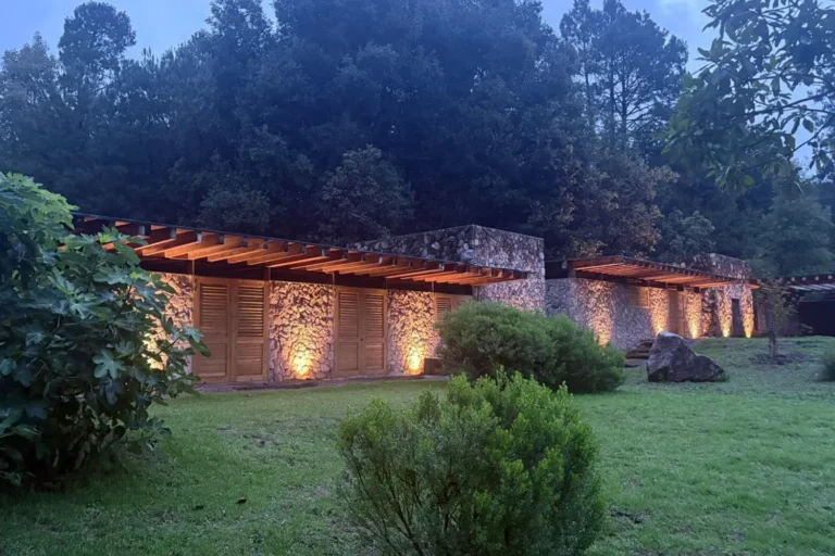 alquimia buildings at night