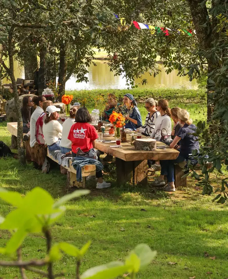 group eating lunch outdoors