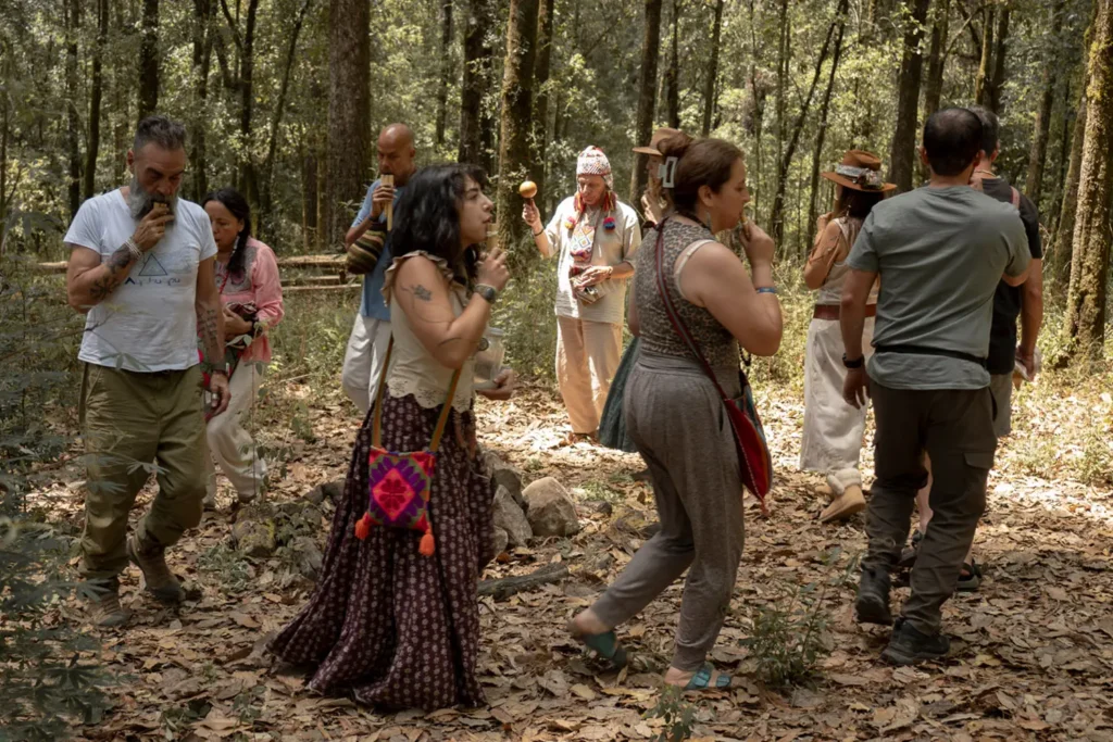group-forest-ceremony-walk group forest ceremony walk