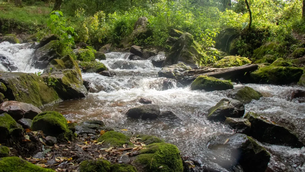 rushing rapids waterfall