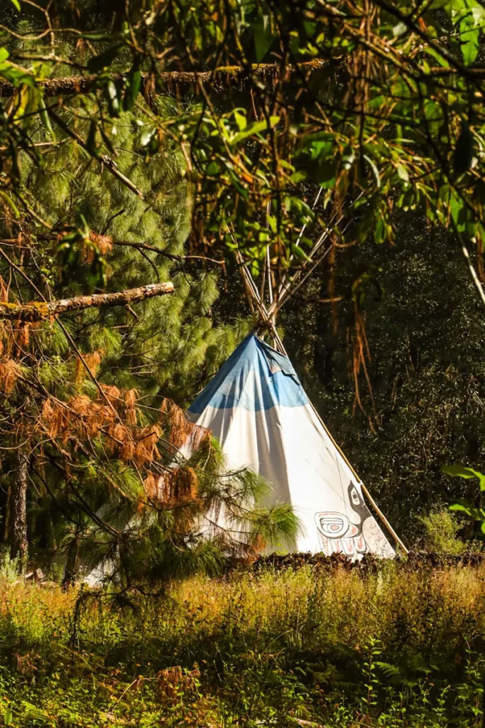 tipi in a forest meadow
