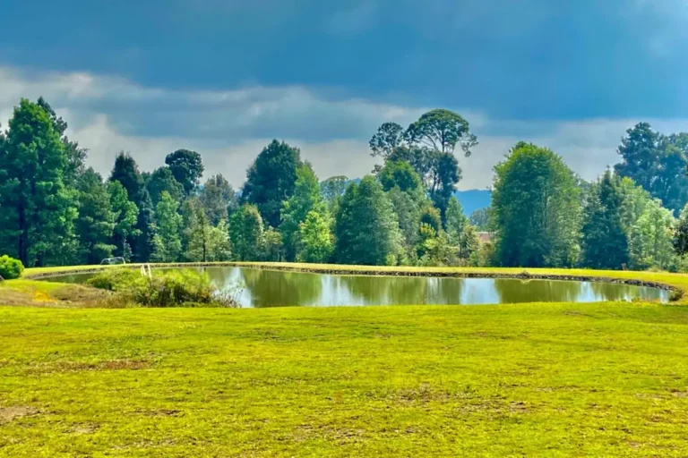 alquimia lake view