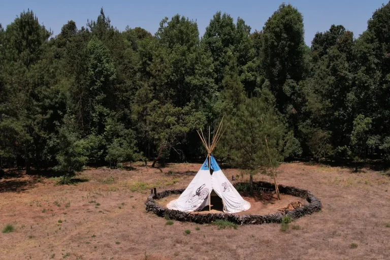 tipi stone circle in forest